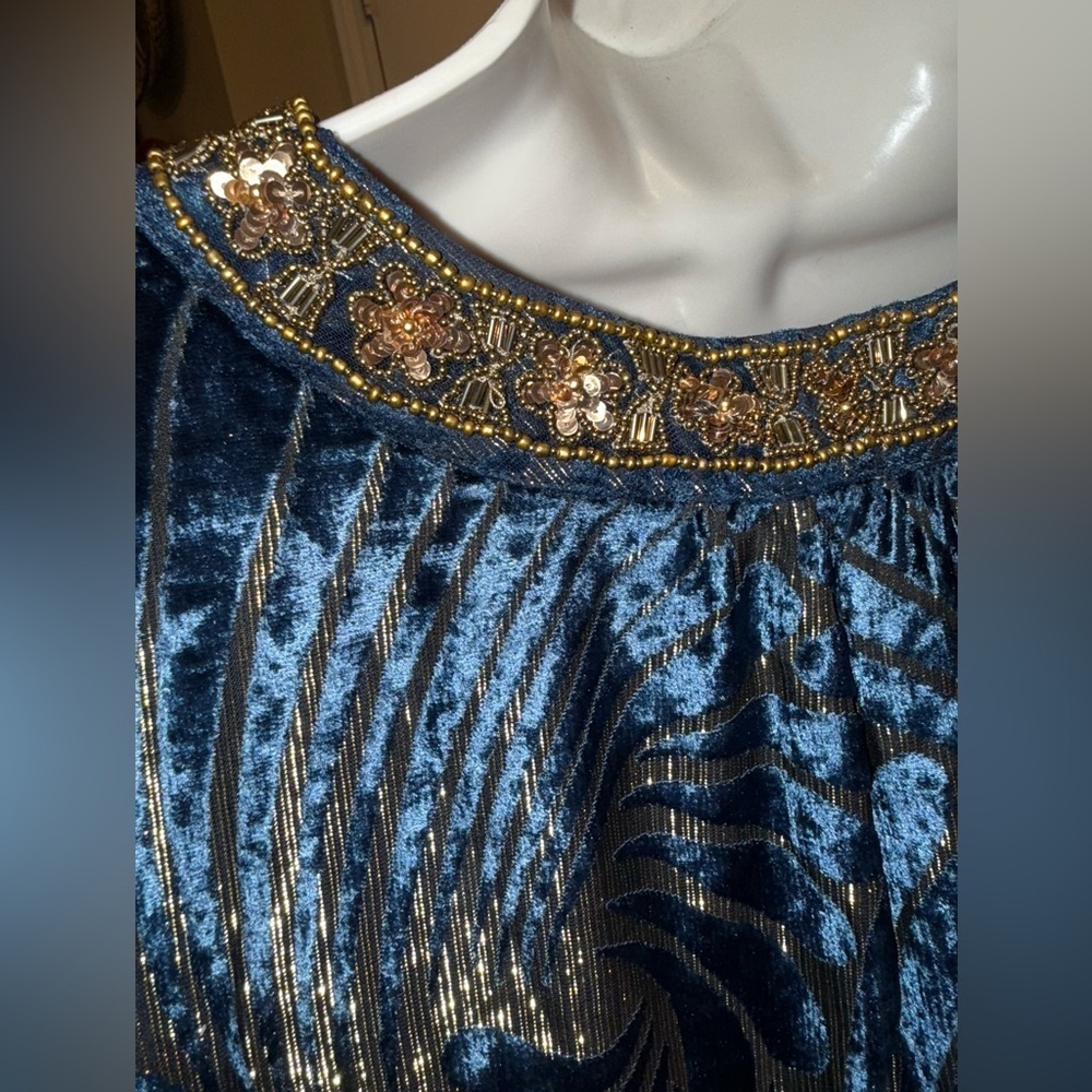 Soft Surroundings Adrienne Embroidered Velvet Tunic - Picture 5 of 11